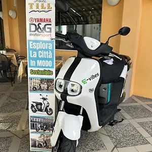 3* Отель Hotel Till